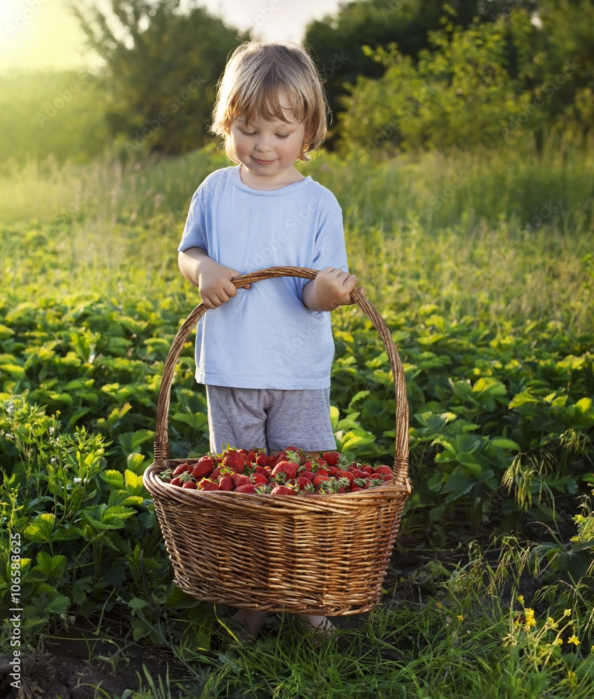 Fototapeta premium cheerful boy with basket of berries
