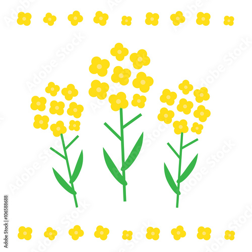 Canola flower vector illustration. Canola flower concept in flat style. Canola flowers symbols