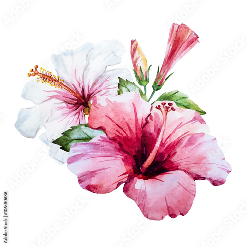 Watercolor hibiscus flower