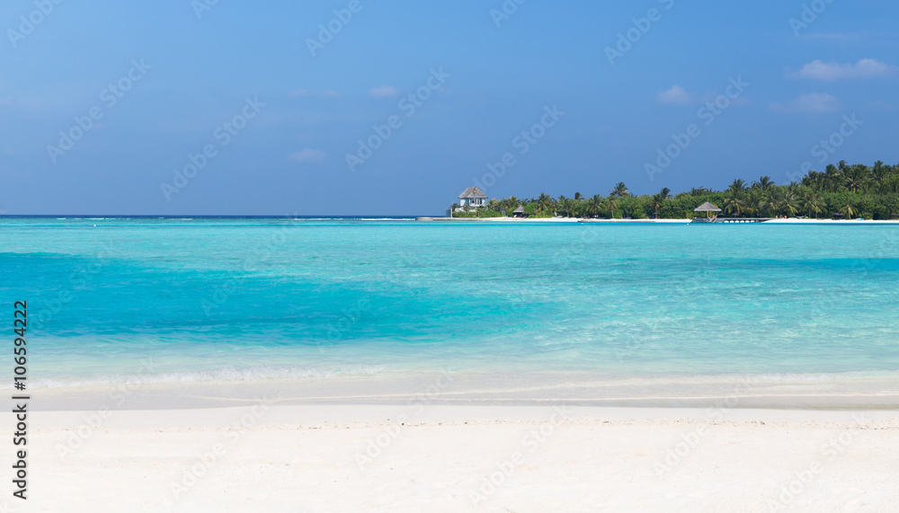 maldives island beach with palm tree and villa