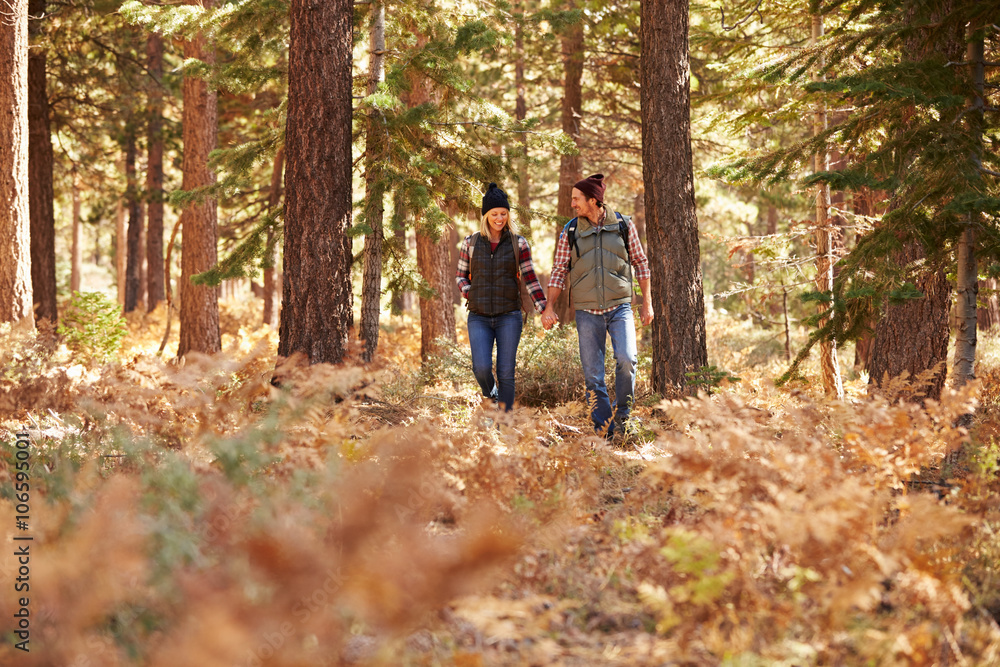 Couple holding hands walking in a forest, California, USA