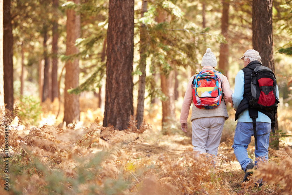 Senior couple hiking in a forest, back view, California, USA