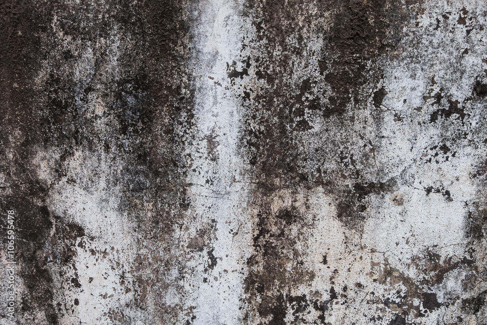 Obraz premium old concrete wall.