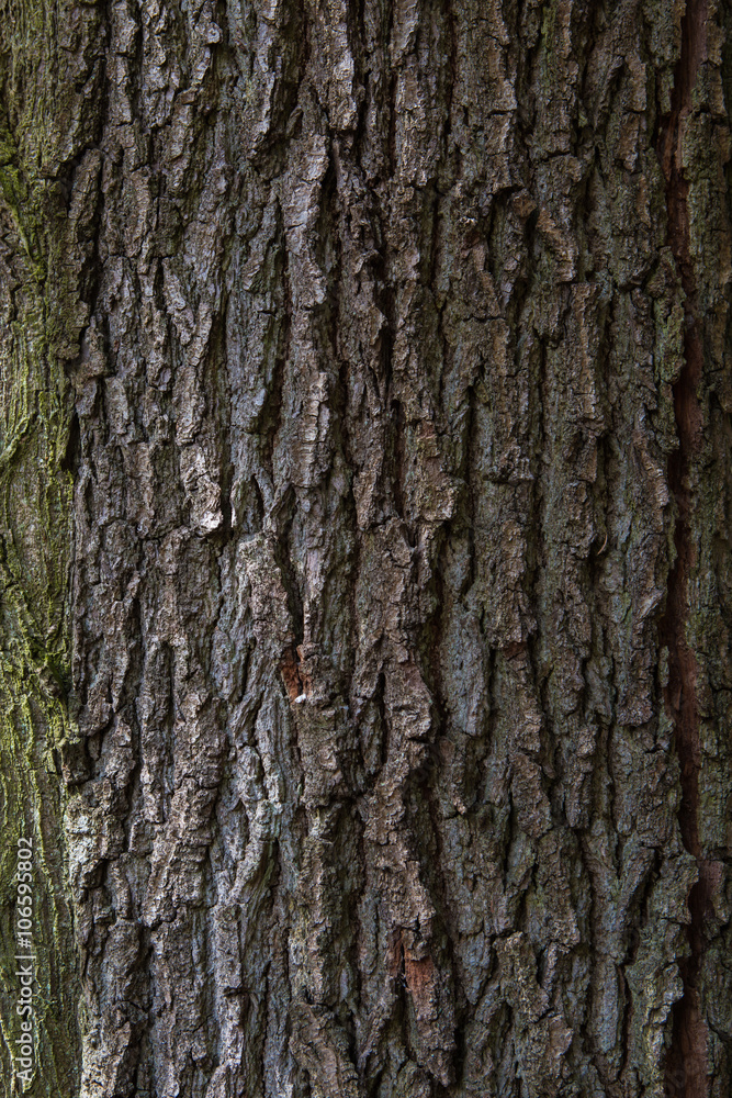 brown green tree material structure