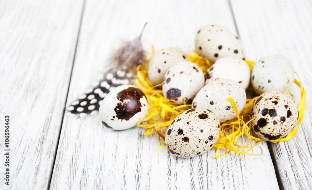 quail eggs in nest quail eggs in nest
