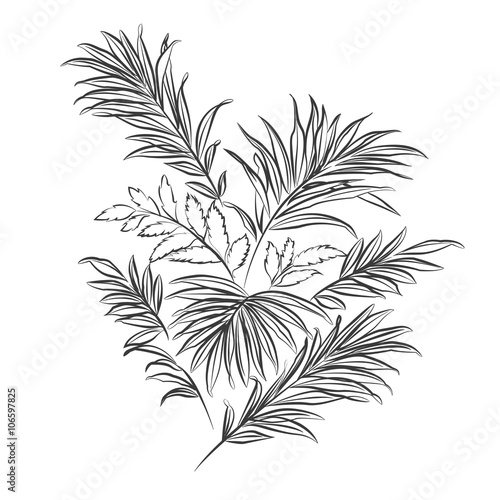 Palm leaves. Doodle style
