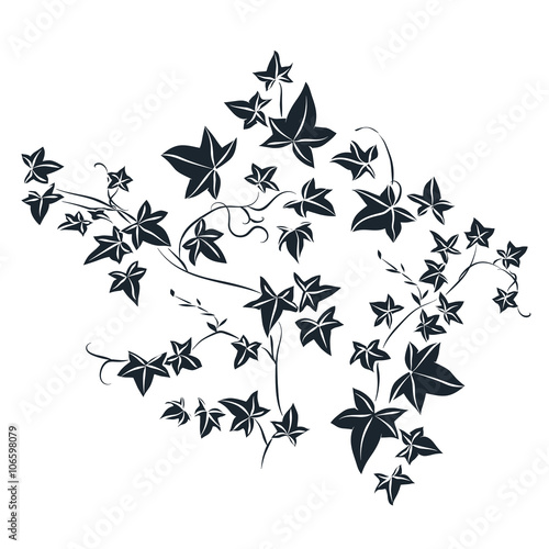 Black doodle ivy leaves