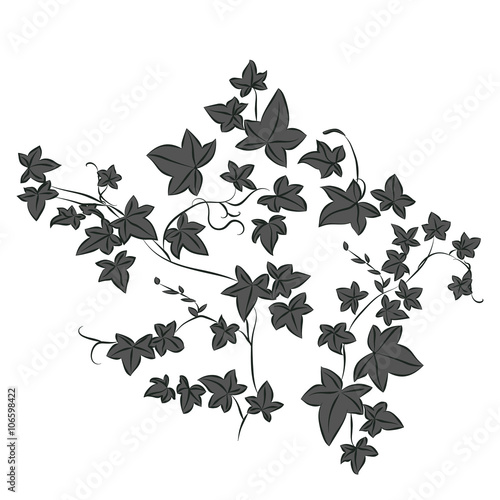 Black doodle ivy leaves