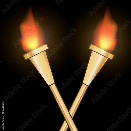 Картината върху платно flaming torch vector