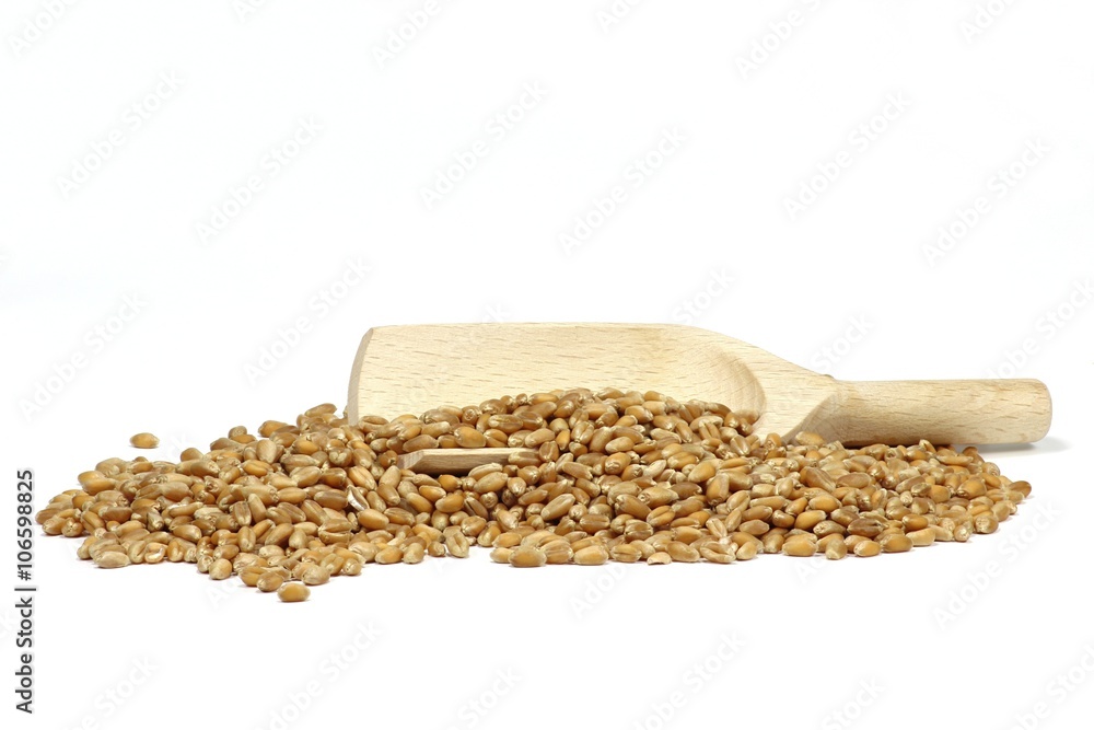 Holzschippe mit Weizen isoliert auf weißem Hintergrund Holzschippe mit Weizen isoliert auf weißem Hintergrund