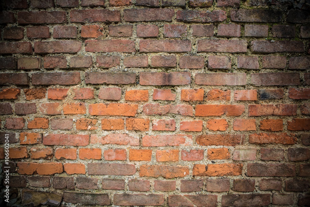 Obraz premium old brick wall