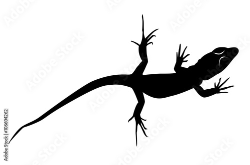Motif noir représentant un lézard sur fond blanc