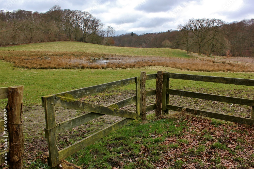 Paddock with open gate Paddock with open gate