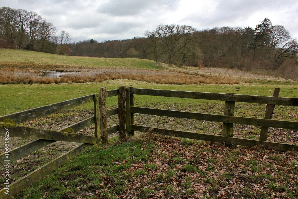 Countryside with empty paddock