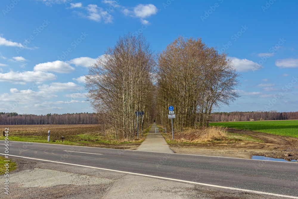 Fototapeta premium Radweg