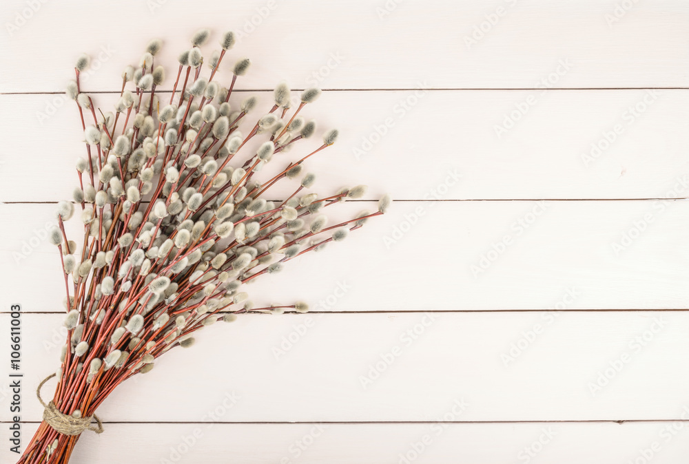 Willow twigs on wooden background - obrazy, fototapety, plakaty 
