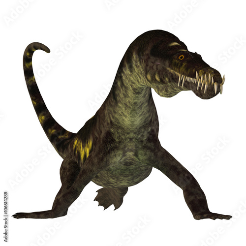 Nothosaurus on White - Nothosaurus was a semi-aquatic carnivorous reptile that lived in the Triassic Period of North Africa  Europe and China.