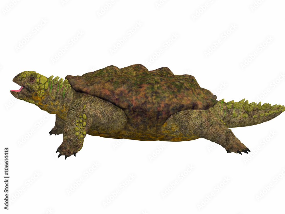 Fototapeta premium Proganochelys Side Profile - Proganochelys is the second oldest turtle species discovered and lived in Germany and Thailand in the Triassic Period.