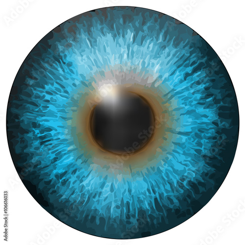 Eye iris vector texture