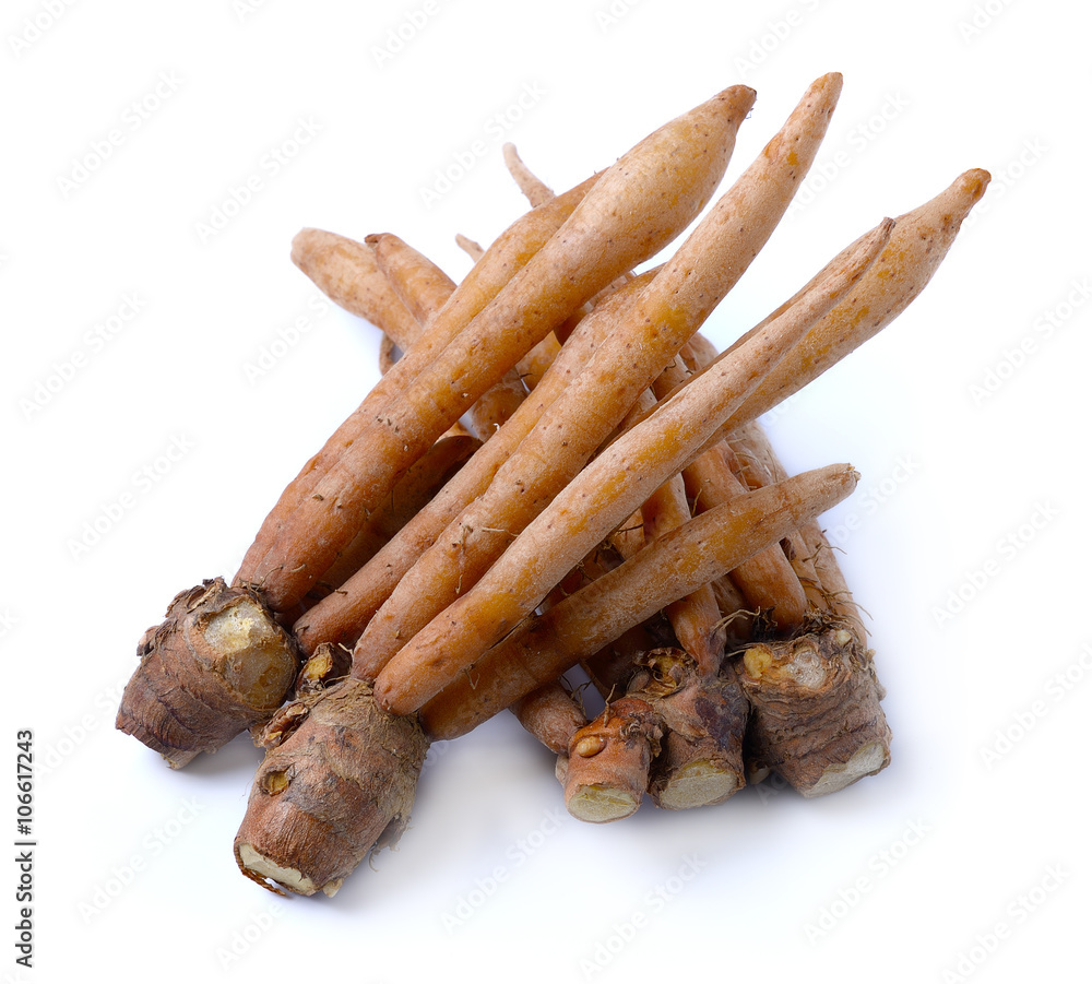 Fingerroot, Kaempfer, Boesenbergia on white background Fingerroot, Kaempfer, Boesenbergia on white background