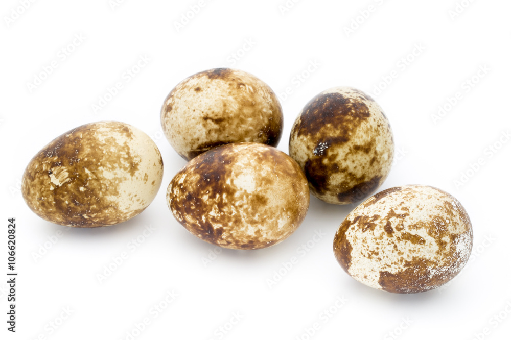 Quail eggs the isolated on a white background. Quail eggs the isolated on a white background.