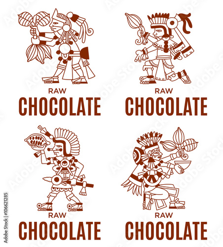 sketch drawing aztec cacao bean, leaves, nibs, pattern for choco