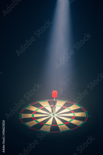 darts board illuminated with a spotlight photo