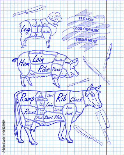 butchering beef diagram, pork, lamb and knife