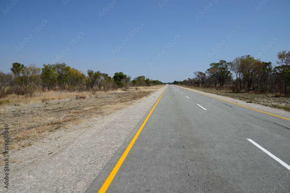 Long and remote road, Caprivi Strip, Namibia
