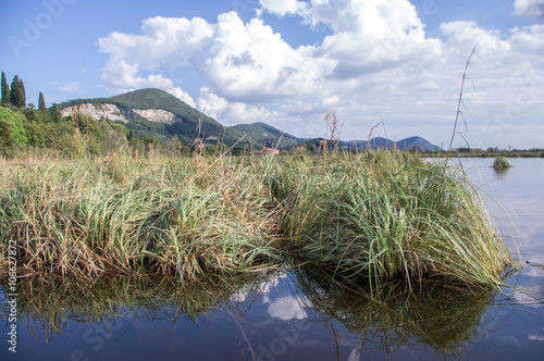 Campagna presso il lago di Massaciuccoli.