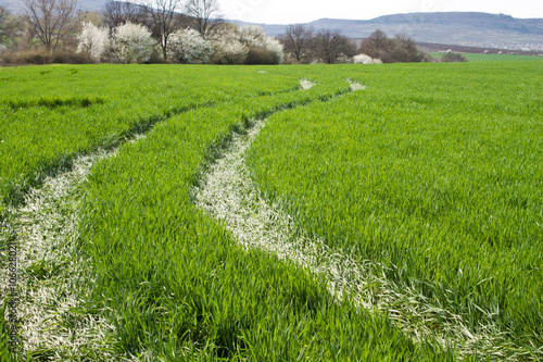 Background of green grass and road
