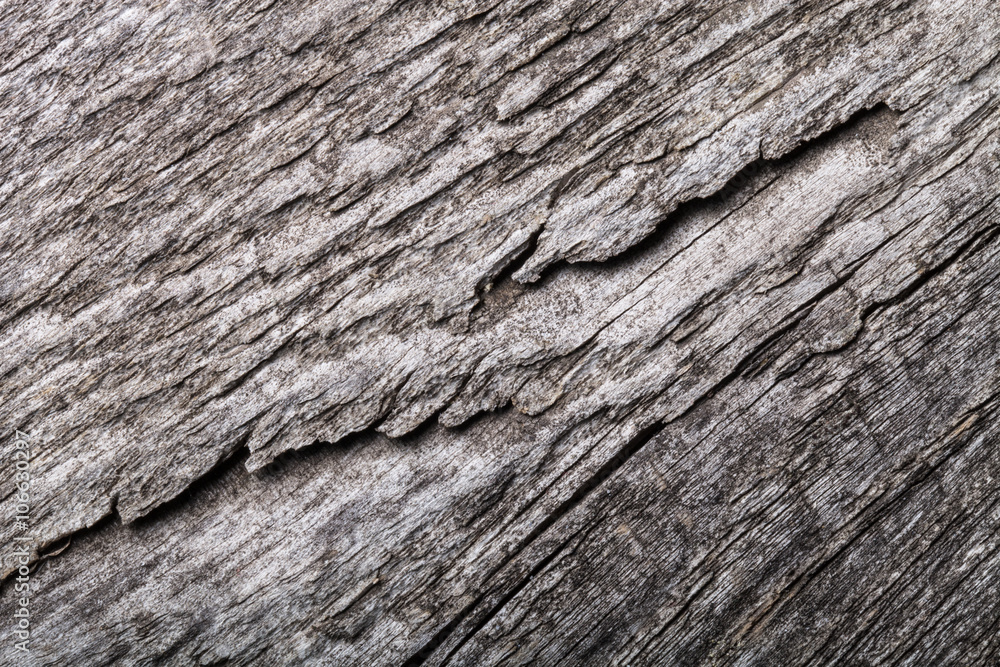 Old wooden surface for textured background Old wooden surface for textured background