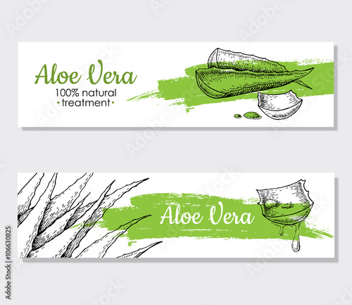 Vector aloe vera hand drawn illustrations. Aloe Vera banner, pos