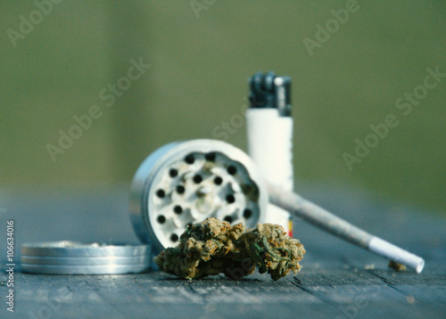 Marijuana Bud With Joint Still Life