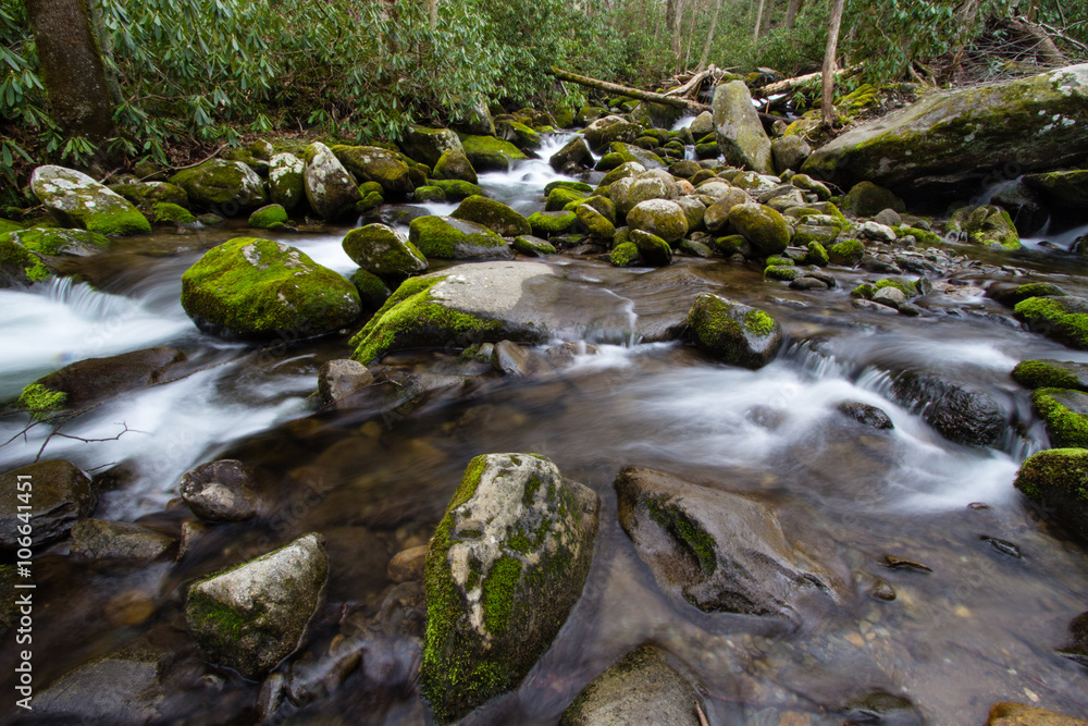 River On The Roaring Fork. Mountain stream flows along the road on the Roaring Fork Motor Nature Trail in the Great Smoky Mountains National Park in Gatlinburg, Tennessee. River On The Roaring Fork. Mountain stream flows along the road on the Roaring Fork Motor Nature Trail in the Great Smoky Mountains National Park in Gatlinburg, Tennessee.