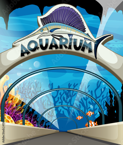 Aquarium scene with lives underwater