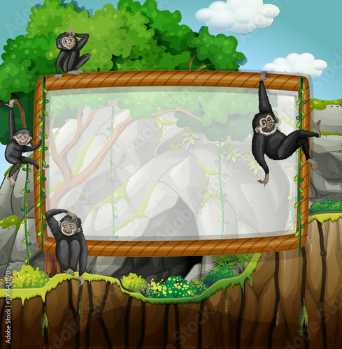 Frame design with gibbons at the cave