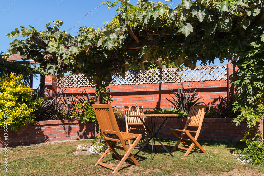 garden furniture under grapevine pergola
