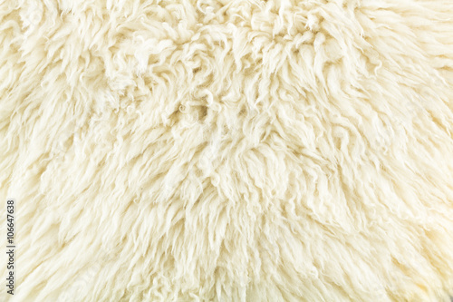 soft color creamy of wool texture