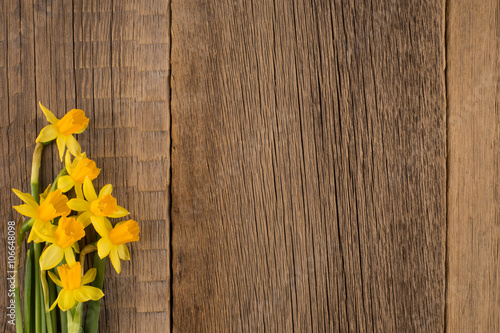 Fototapeta Naklejka Na Ścianę i Meble -  Daffodils on wooden background, copy space