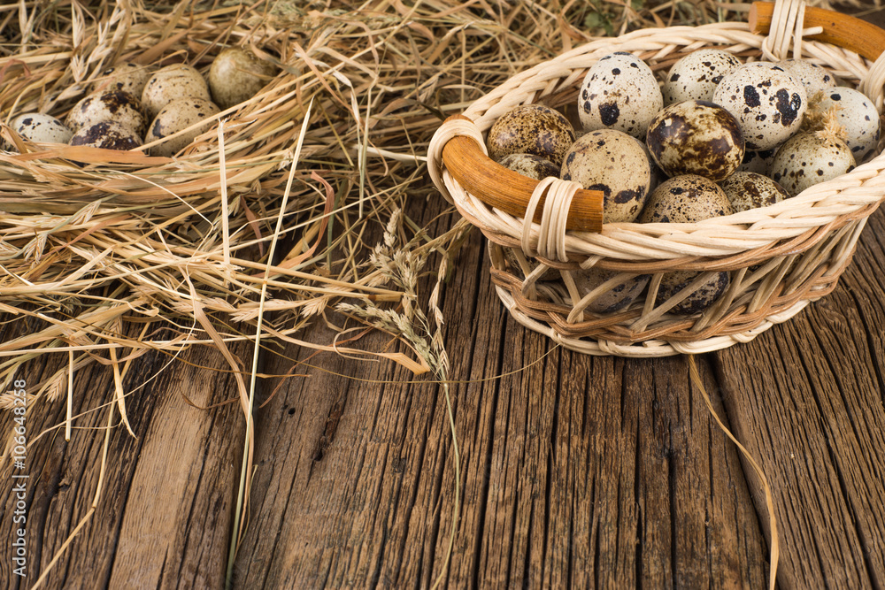 Obraz premium Raw quail eggs