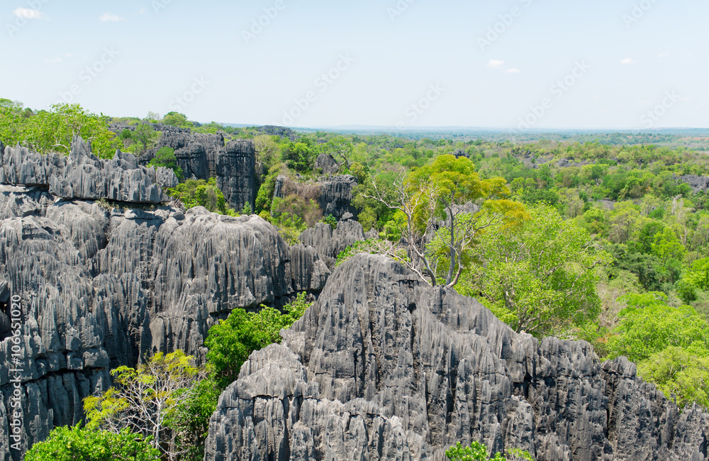 Tsingy de Bemaraha Reserve