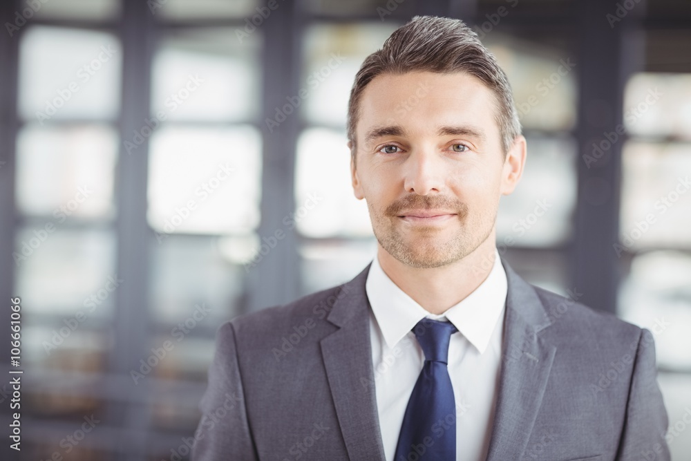 Portrait of confident handsome businessman Portrait of confident handsome businessman