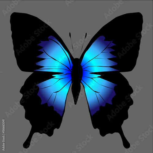 Vector silhouette of butterfly.
