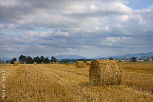 Straw rolls on field, Poland