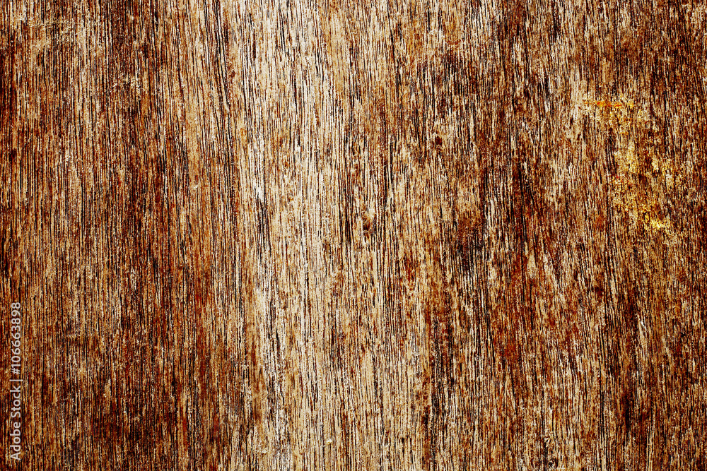 Pale Wood Texture Pale Wood Texture