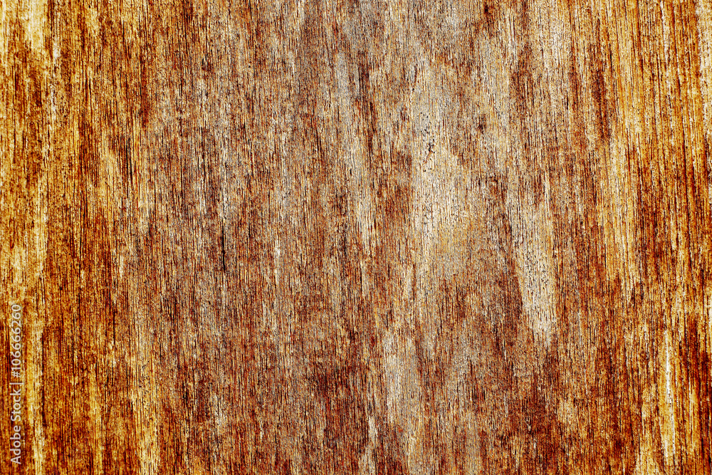 Pale Wood Texture