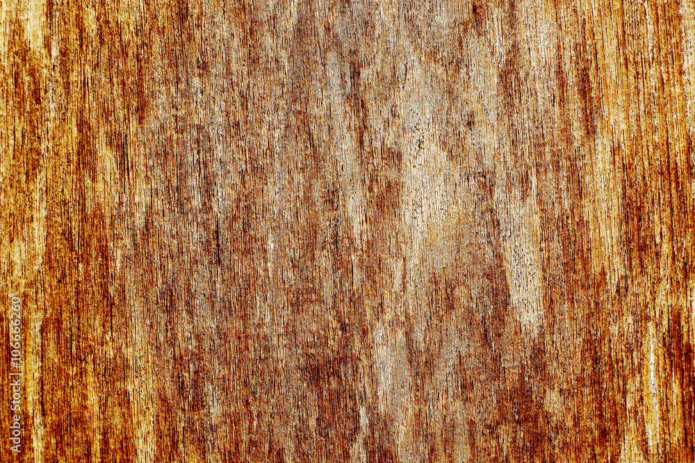 Pale Wood Texture Pale Wood Texture