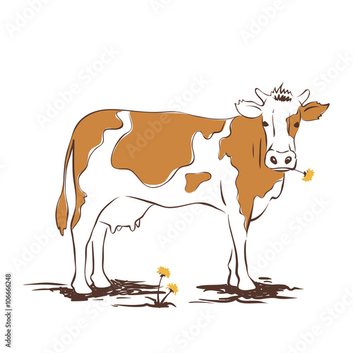 Vector illustrations -- cow with dandelion