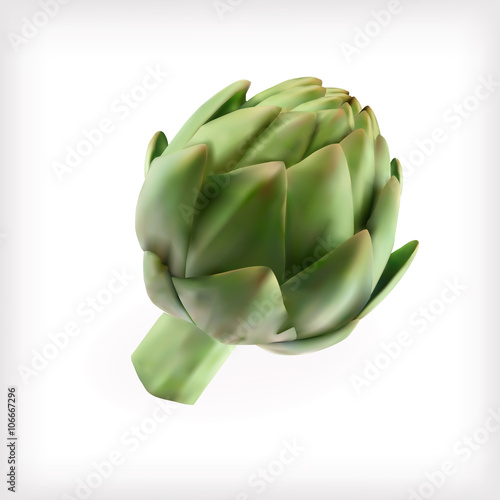 Artichoke isolated on the white background